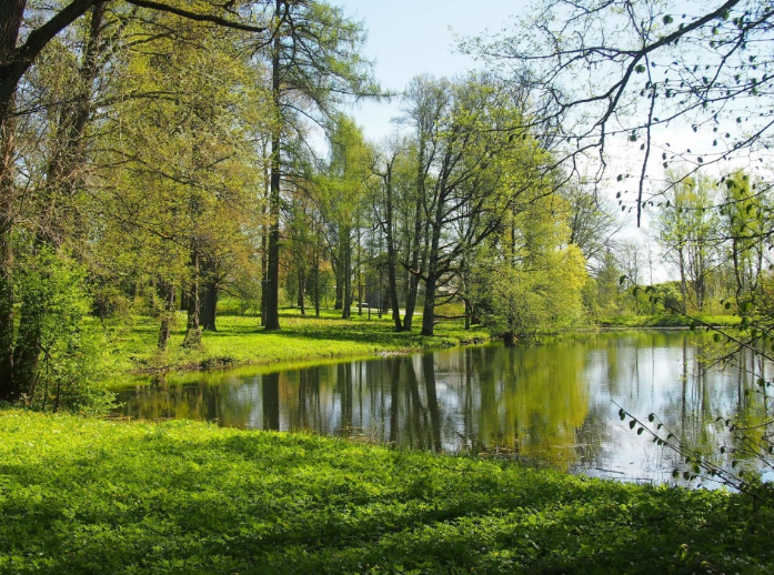 Luua Metsanduskooli puukool-arboreetum, Estonia